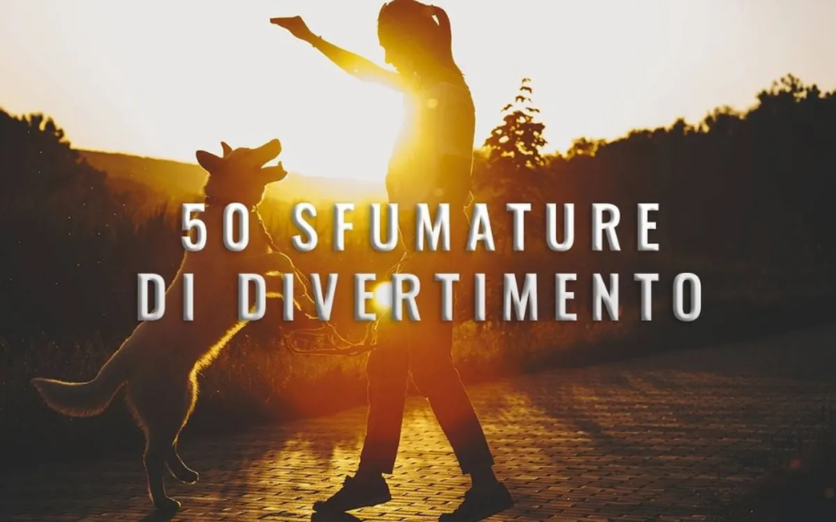 50 Sfumature di Divertimento – Fantasticane