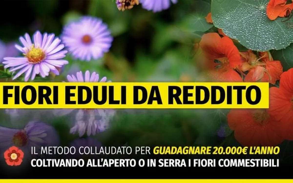 Fiori Eduli da reddito MASTER – Rendita Agricola
