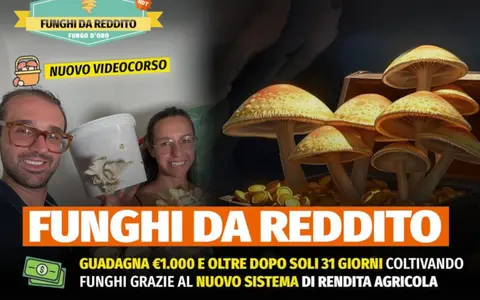 Funghi da Reddito – Rendita Agricola