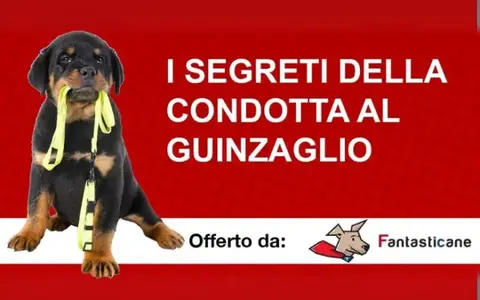 I Segreti della Condotta al Guinzaglio – Fantasticane