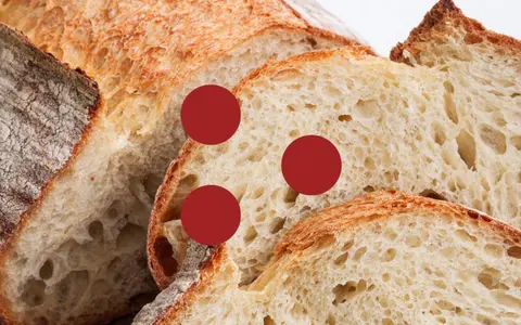 Il Pane con Lievito Madre e Lievito Misto – Fudemy