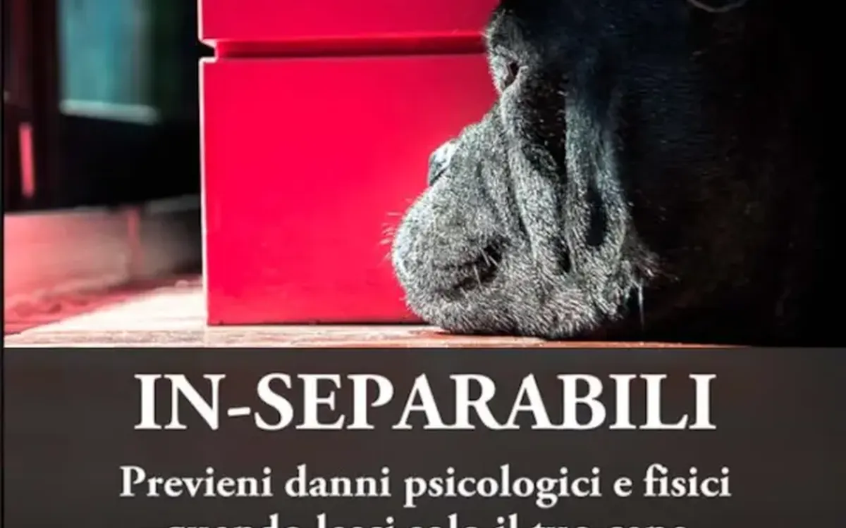 In-Separabili – Fantasticane