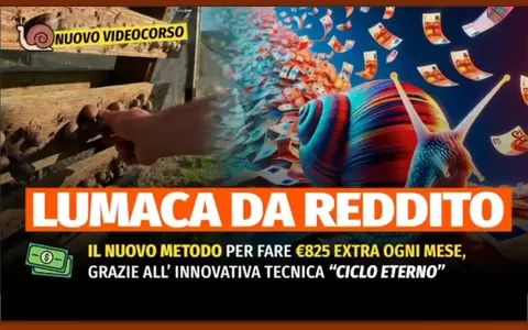 Lumaca da Reddito – Rendita Agricola