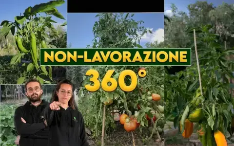 Orto Eterno: Non Lavorazione 360° – Rendita Agricola