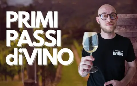 Primi Passi di Vino – Il Sommelier Divino