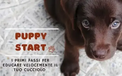 Puppy Start – Educazione Cinofila